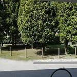 Ute